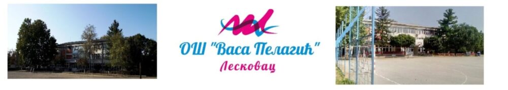 ОШ "Васа Пелагић"